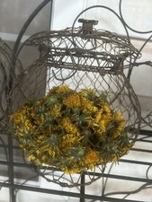 Dandelion Seeds LARGE Medicinal, Edible, Giant Flowers USA Bee Attractant