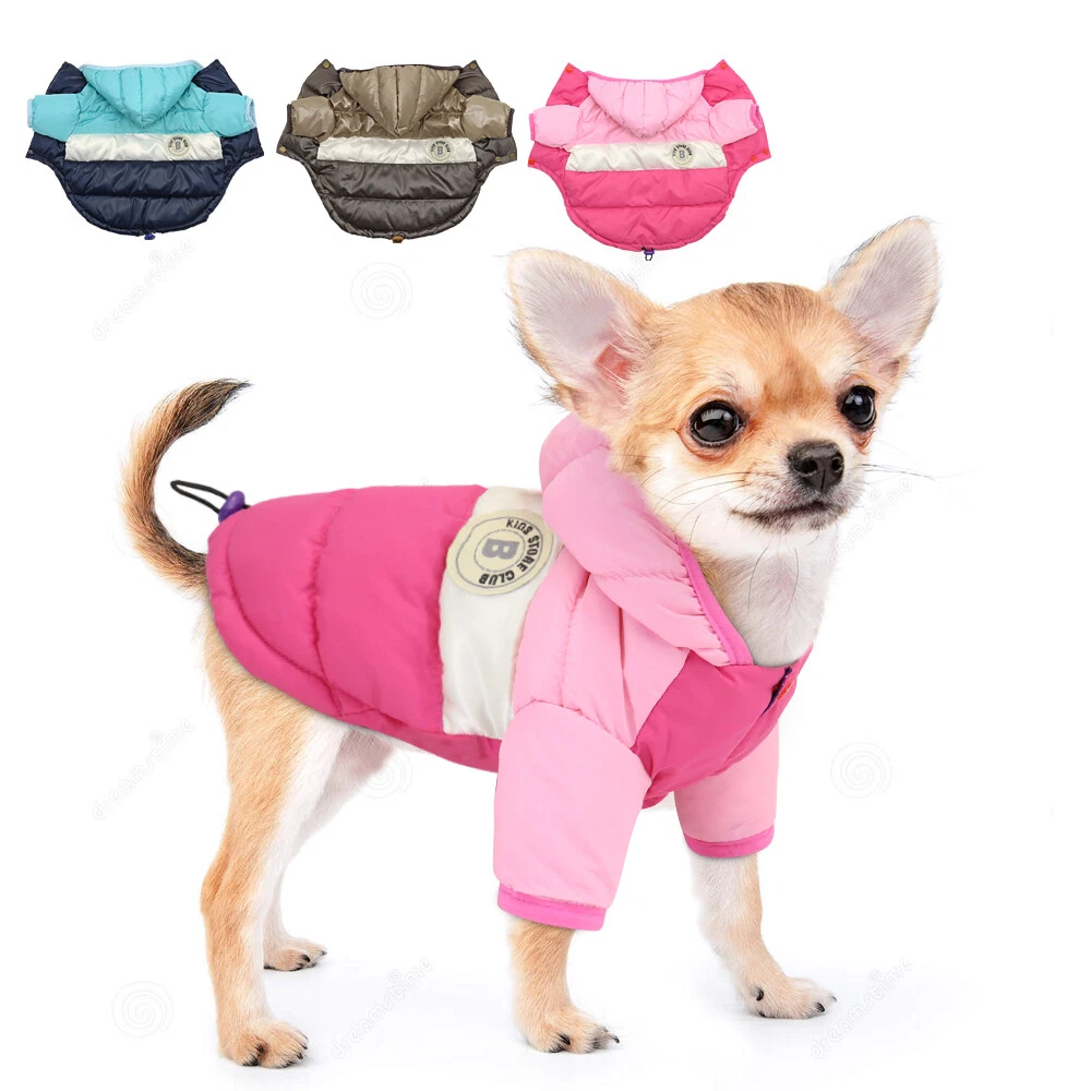 Manteau d'hiver imperméable pour chien, veste chaude pour chien, tenue  Chihuahua, vêtements pour chiots, vêtements pour chiens de petite taille,  vêtements moyens et grands animaux de compagnie - AliExpress