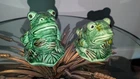 Pair Of Vintage 1950s McCoy ? Pottery  Frog Figurines