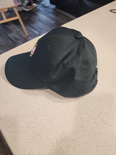 Boise Hawks MILB Snapback Mütze Cap grün Stadium Game Giveaway - Bild 2 von 7