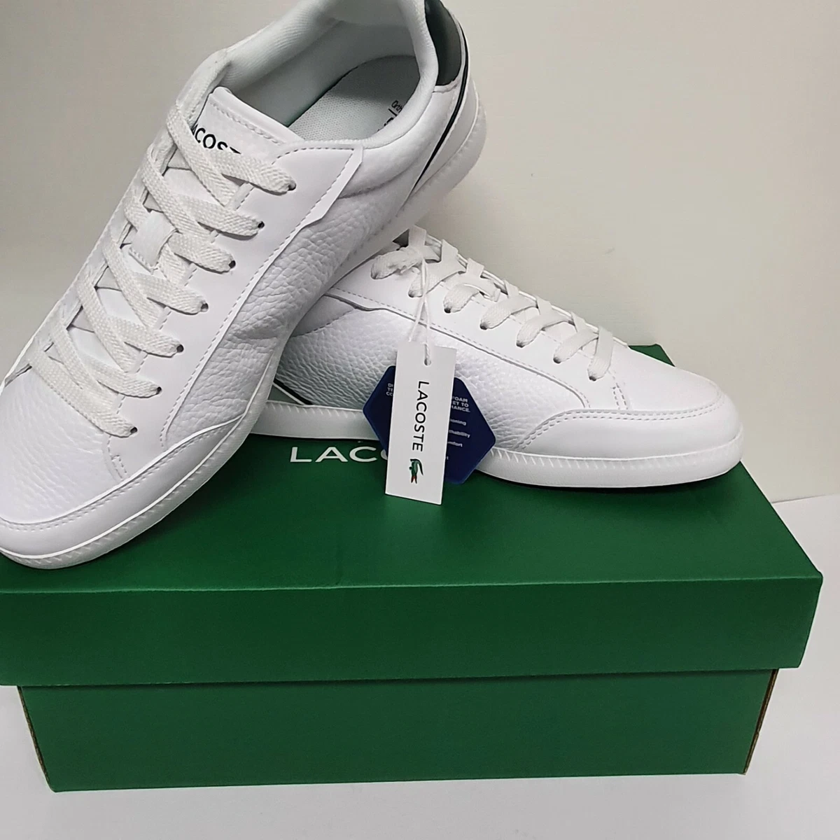 Lacoste best sale graduate green