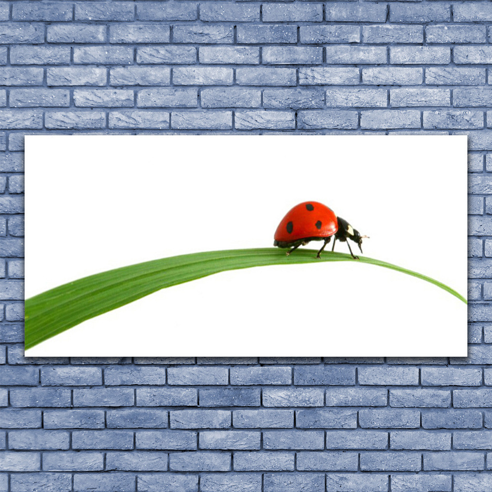 Tableau plexiglas 140x70 floral et coccinelle pour mur sombre et terne