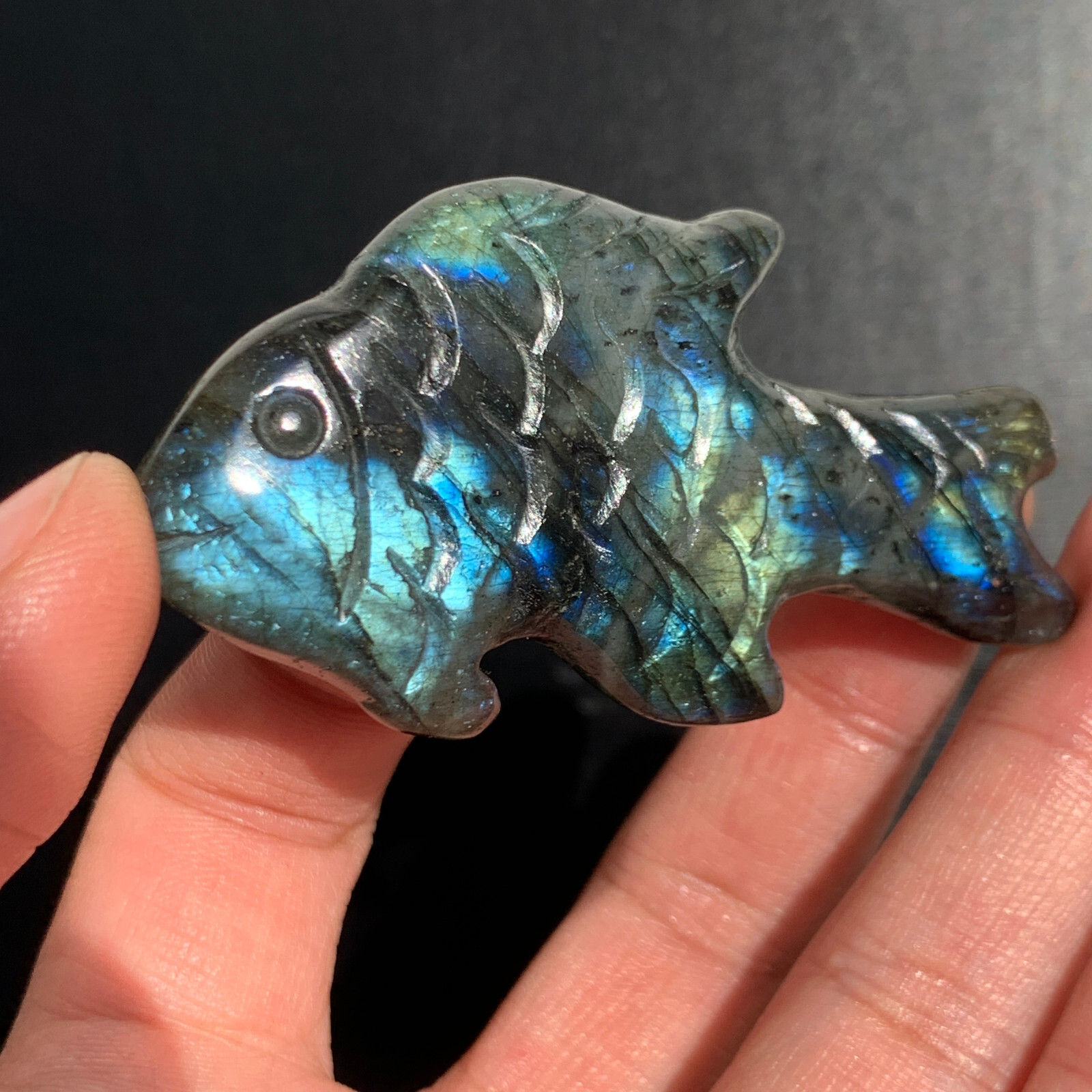 1pc  Rare natural labradorite crystal hand-carved fish sculpture cure