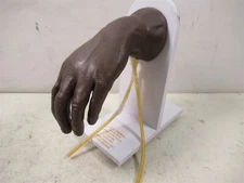 Nasco Life/Form LF01139 Advanced IV Manikin Hand Medical Nursing Trainer Black 