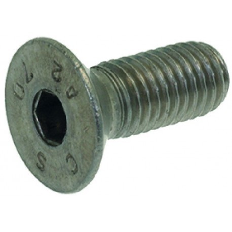 VITE A TESTA SVASATA PIANA M8x20 100 pezzi 1528627