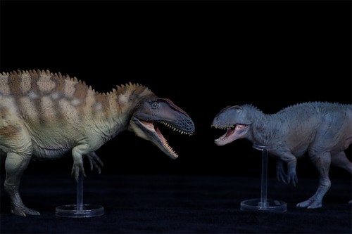 PNSO Sinraptor 62 Model Jurassic Dinosaur Figure Adult Kids Collections Toy Gift - Picture 22 of 24