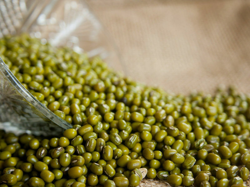 Moong Dal Mung Beans WHOLE Free Shipping LENTILS DAL FREE SHIP