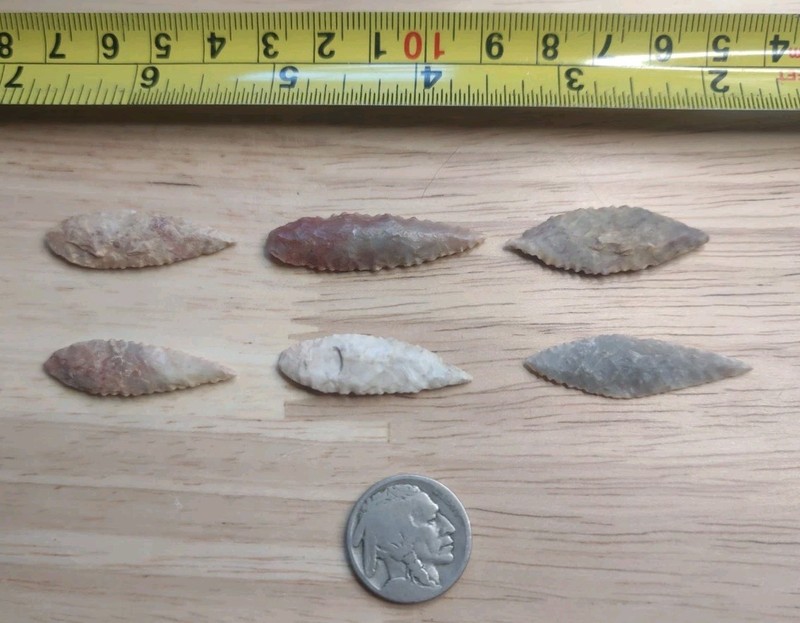 Neolithic Period  Arrowheads Sahara Desert Africa 6 Willow Leaf Nice 