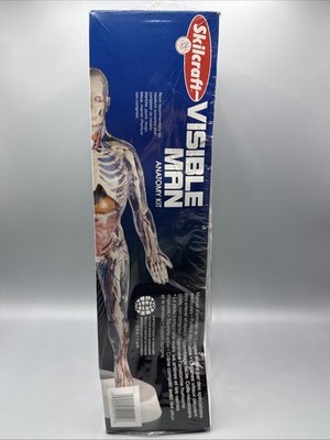 Vintage Skilcraft Visible Man Anatomy Model Kit (40155) Sealed Box