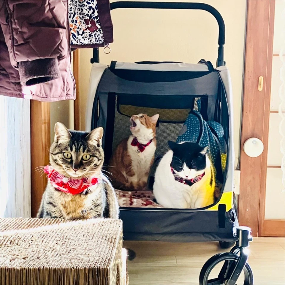 klappbar Hundebuggy Hundewagen Ergonomischer Hundetrolley 4 Räder bis 65kg M-XL - Bild 2 von 4