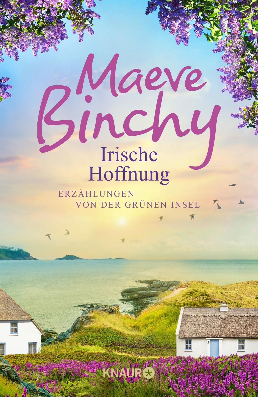 Thumbnail - Irische Hoffnung Erzählungen Von Der Grünen Insel Maeve Binchy Buch