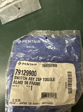 Pentair 79129900 Switch Assembly 2Sp Toggle Almond 56 Frame
