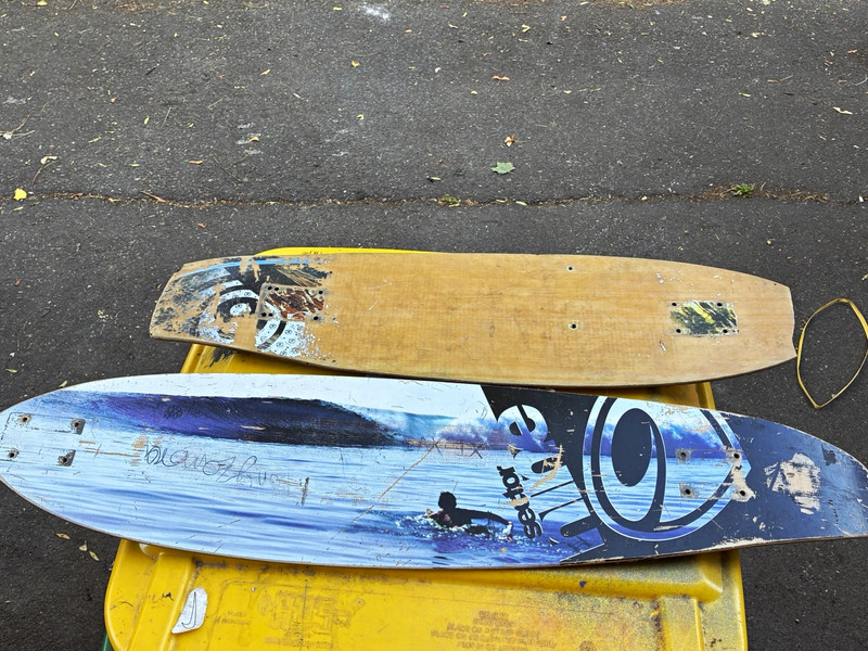 Sector 9 Blowfish Longboard Decks Only Lot of 2 Assorted Graphics