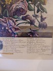 Bild 6 von 20