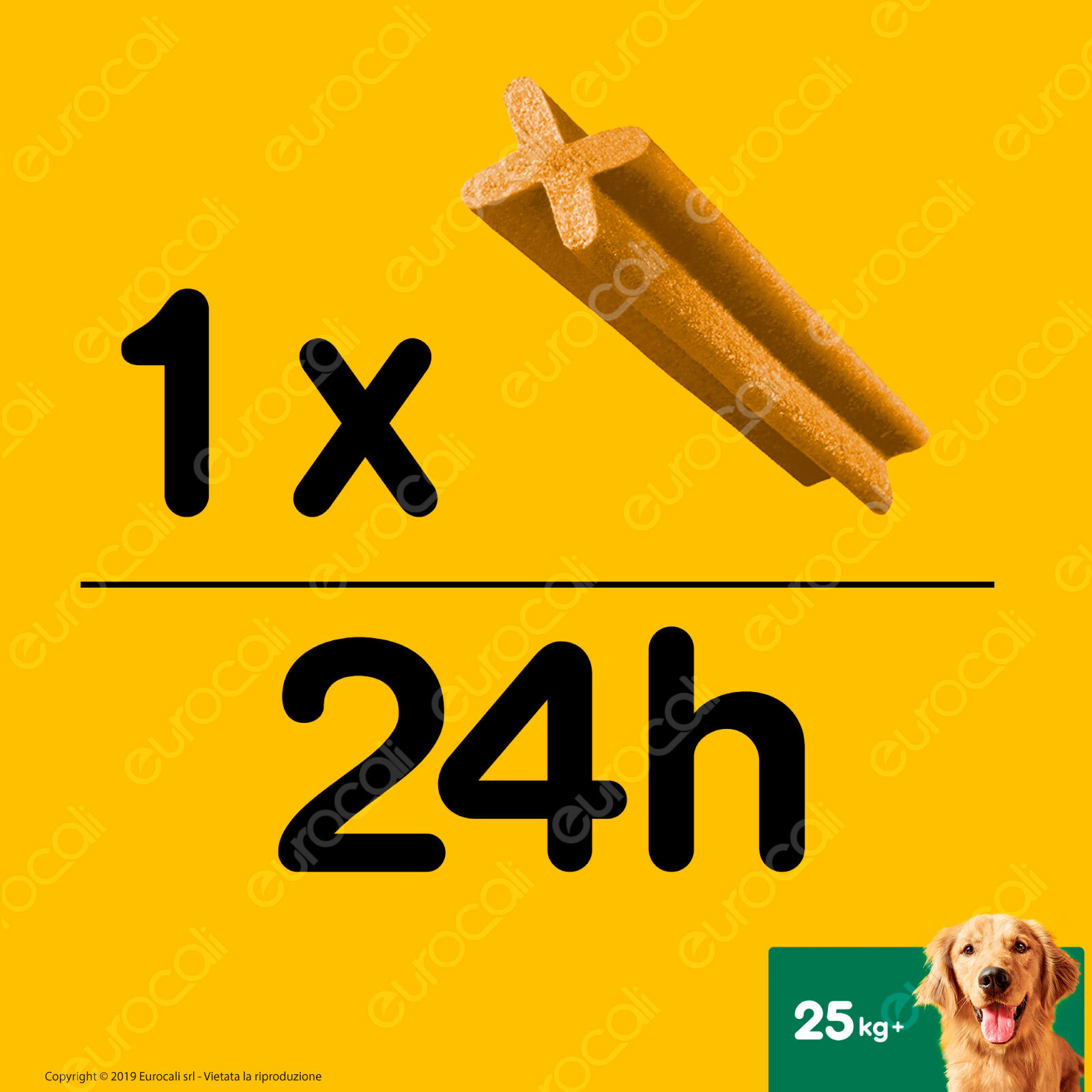 Foto 4 di 7