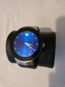 pam00499