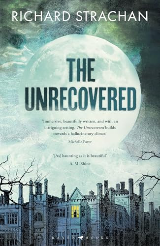 The Unrecovered: A richly atmospheric gothic tale of madness, wa - Image 5