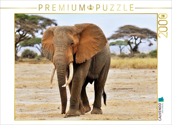 Calvendo Puzzle Elefant In Amboseli 2000 Teile Puzzle Quer | 2000 Teile Lege-Grö-image