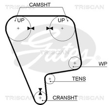 TRISCAN Zahnriemen 8645 5348XS für HONDA CRX 3 EH EG CIVIC 5 Hatchback 6 EJ EM1