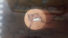 Video 1 von 1