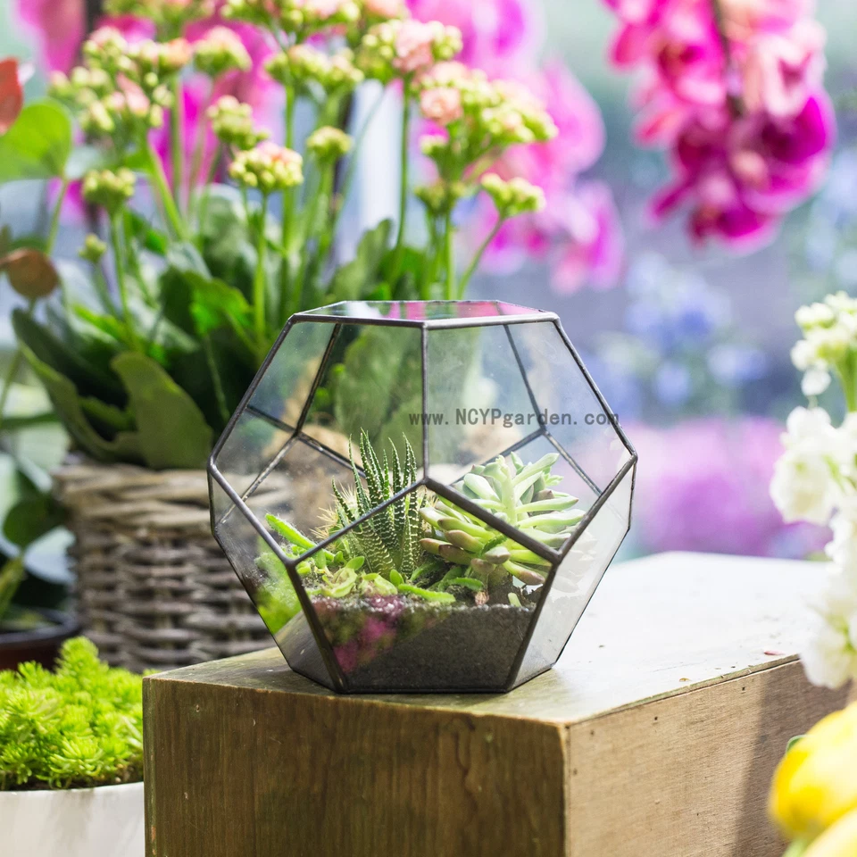 Jardinera para Suculentas Pentágono Bola Hogar Jardín Maceta Decoración Foto 4 de 4