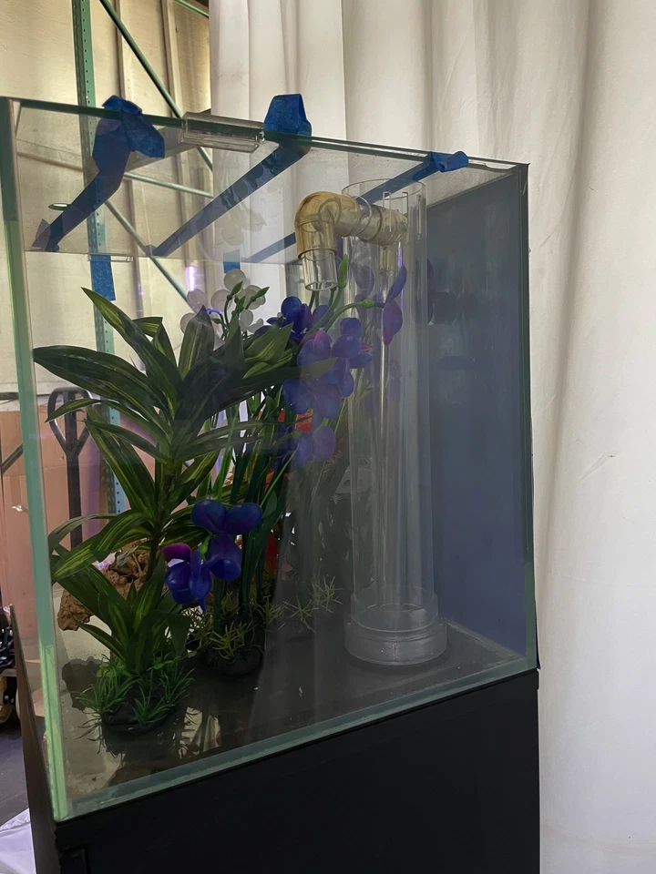 ULTRA CLEAR GLASS - 18 gallon cube fish tank aquarium full setup w/ filtration - Image 4 of 4