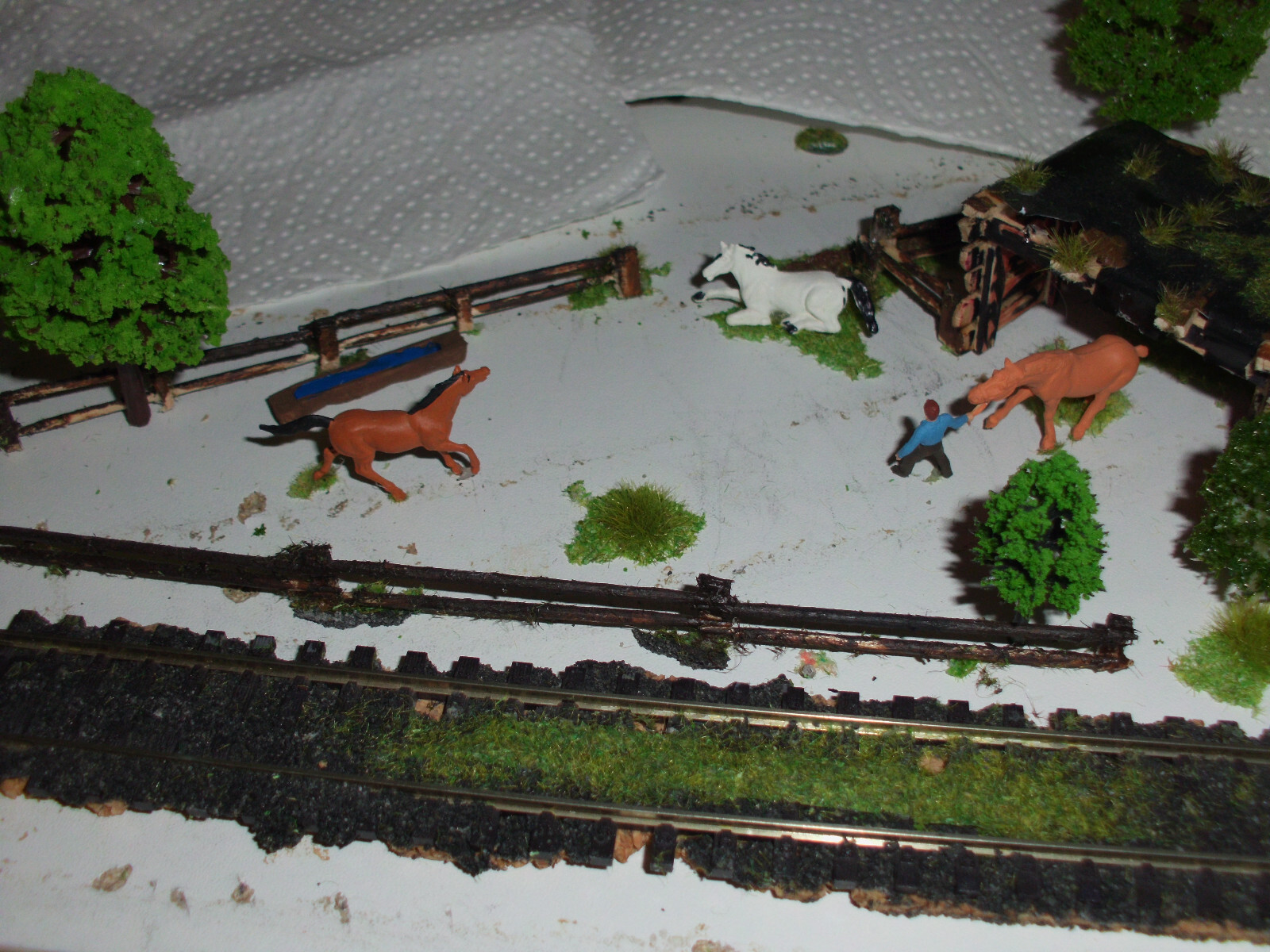 Bild 6 von 12