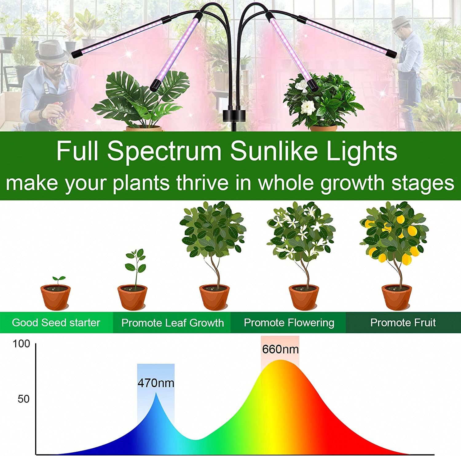 Plant Grow Lights for Indoor Plants Full Spectrum with Timer for Your