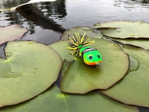 Rapala BX Skitter Frog Lures - Pike Bass Perch Chub Predator Surface Bait Tackle - Picture 7 of 27