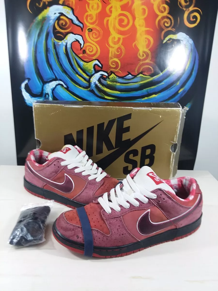Nike Sb Dunk Low Premium X Concepts