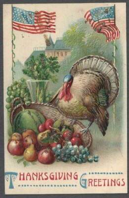 TURKEY, 2 AMER FLAGS, FRUIT BASKET A.S.B. PUB EMB THANKSGIVING PC #342 c 1907-14