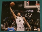 Giannis Antetokounmpo Signed 11x14 Milwaukee Bucks JSA