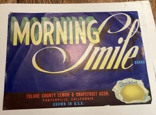 Morning Smile Brand Sunkist Tulare County Lemon Grapefruit Crate Label Advert