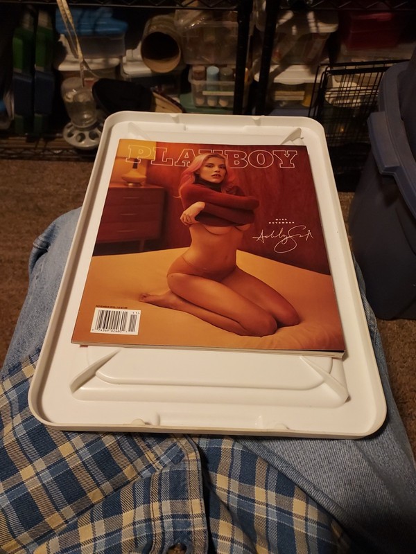 Playboy Magazine  Miss November  2016  Ashly Smith POTM 
