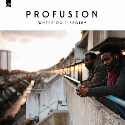 Profusion - Where Do I Begin - Vinyl