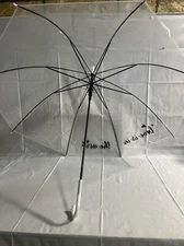 Clear Umbrella 