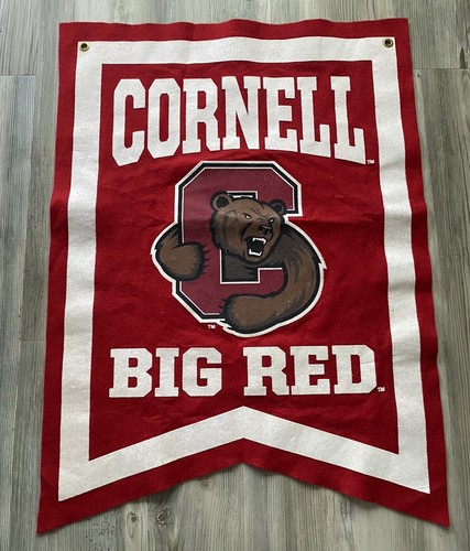 Vintage Felt Cornell Big Red Bear Garden Flag Pennant - 第 1/6 張圖片