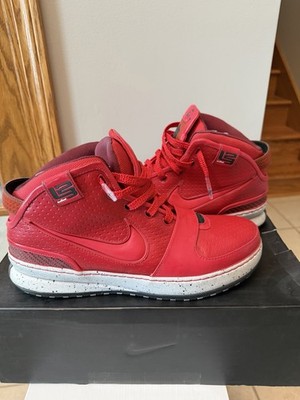 Nike Zoom LeBron 6 Big Apple NYC Size 10.5 OG All collectsnike