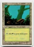 MTG Forest (A) L Fourth Edition 177 MP