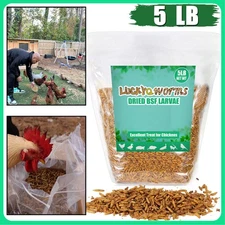5lbs Non-GMO Dried BSF Mealworms High-Protein Worms Fit Chicken Treats Birds US