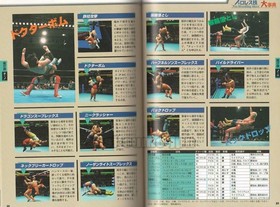 ALL JAPAN PRO WRESTLING AJPW SEGA SATURN SS GAME OFFICIAL GUIDE BOOK SOFTBANK