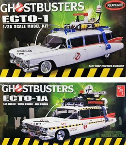 amt ecto 1