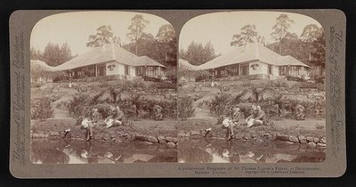 bungalow on Sir Thomas Lipton's estate, at Dambutenne, interior Ceylon 1903