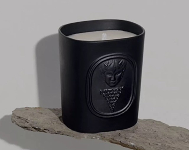 Diptyque L'Elide 34 Bazar Candle The Faun Limited Edition 7.3 Oz Sealed New Box eBay