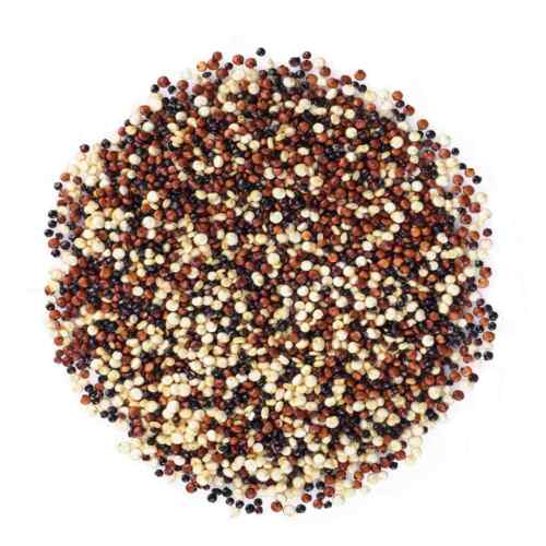 Organic Tri-Color Quinoa — Non-GMO, Raw, Whole, Kosher, Sirtfood, Sproutable - 第 24/37 張圖片