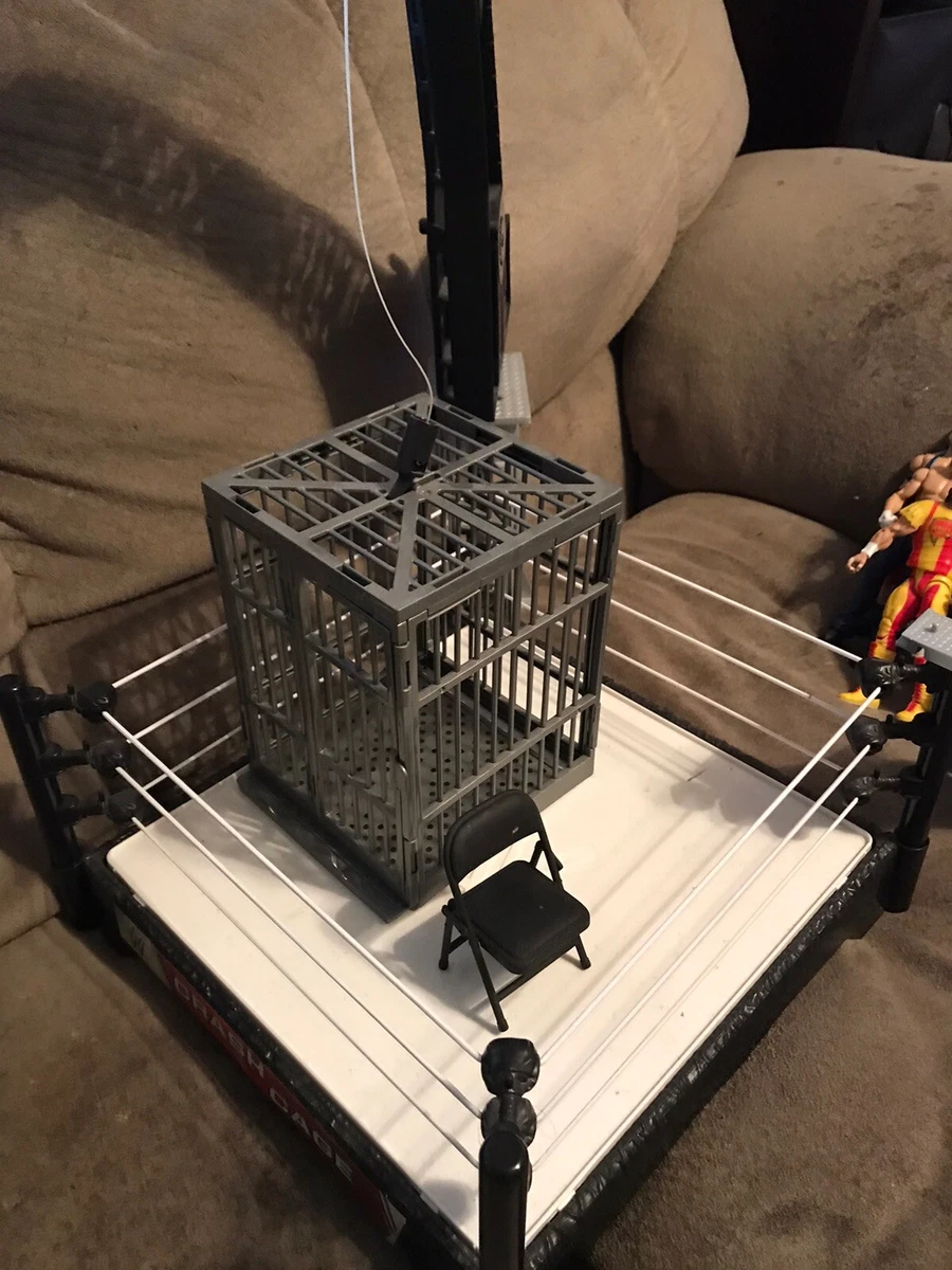 Wwe 2024 crash cage