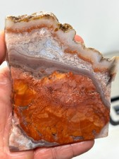 Cotton Candy Agate Slab Cabbing Lapidary Collecting Combo Ship Avail