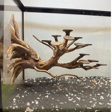 Driftwoods for Aquarium Hardscape for Aquascape Fish Planted Freshwater
