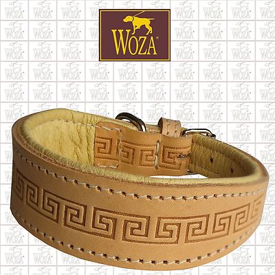 WOZA Premium Windhundhalsband Vollleder Windspiel Rindnappa ОШЕЙНИК Collar G1586
