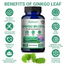 Ginkgo biloba capsule 1000 mg Memory Cognitive function Blood circulation
